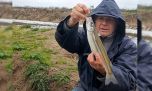 Pejerreyes destacados y dientudos de buen tamaño en el vertedero de la laguna de Bragado