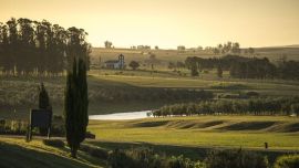 La ruta del olivo en Uruguay.