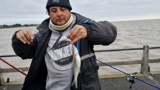 ¿Qué pasa con el pejerrey? Panorama complicado en la costa platense
