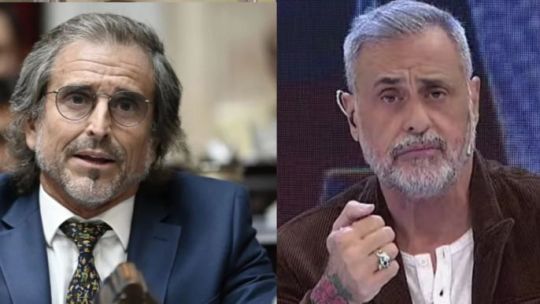 Rial contra el libertario Bertie Benegas Lynch: "Vi muchos pelotudos como vos"
