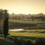 0820_olivouruguay