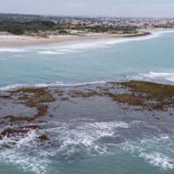 El sector donde se encuentra el islote temporal posee una enorme relevancia faunística y ambiental,