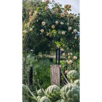 Jardines con alma y legado