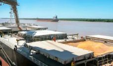 Exportación