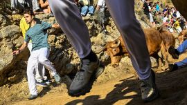 Los participantes corren delante de novillas, o vacas jóvenes, durante el Encierro del Pilón en la localidad navarra de Falces, noreste de España. Los participantes del Encierro del Pilón deben correr delante de las novillas para guiarlas por un sendero estrecho y cuesta abajo, con la pared de la montaña a un lado y el acantilado al otro.