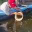 2108_peces_cria