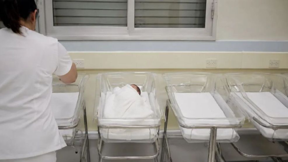 Tras el planteo de Milei sobre el aborto, especialistas señalan: “La caída de los nacimientos viene desde el año 2015”