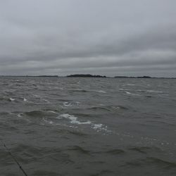 Más allá de las dificultades planteadas por el clima, Las Barrancas continúa sosteniendo su rendimiento y, principalmente, la expectativa de encontrar algún buen matungo. 