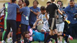 Las escenas de la Final, cuando España era el campeón del mundo y Argentina protagonizó los hechos castigados por la FIFA.