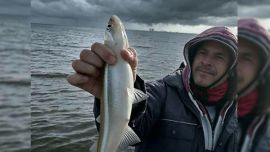 Desafió al mal tiempo y encontró al pejerrey: gran pesca en Las Barrancas