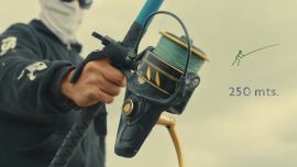 La propuesta aborda una problemática ambiental cada vez más preocupante: la situación del pez guitarra (Melgacho o Pez Violín), una especie costera que se encuentra en peligro crítico de extinción debido a la sobrepesca.