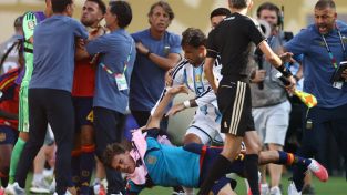Las escenas de la Final, cuando España era el campeón del mundo y Argentina protagonizó los hechos castigados por la FIFA.