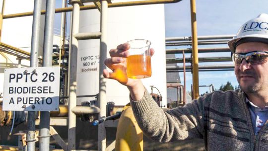 Ley de biocombustibles: provincias del Norte presionan el tratamiento