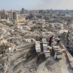 Ibrahim al-Dabba, jefe de la Cooperativa de Apicultores de la Franja de Gaza, cuida las colmenas con sus hijos en la azotea de un edificio destruido en el barrio de Tel al-Hawa, en la ciudad de Gaza, donde la familia desplazada se ha refugiado. Más de dos años y medio después, Gaza sigue sumida en una grave crisis humanitaria y, a pesar del frágil alto el fuego alcanzado entre Israel y Hamás en octubre de 2025, los esfuerzos para poner fin definitivamente a la guerra llevan meses estancados. | Foto:OMAR AL-QATTAA / AFP