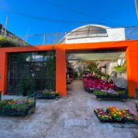 Vivero Marisel: una historia de pasión, trabajo y crecimiento
