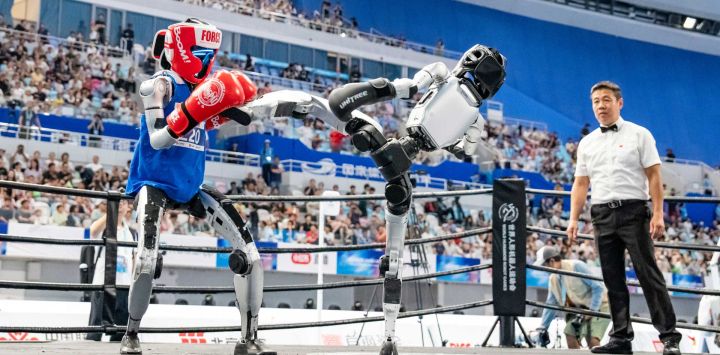 El robot de USTB Innovation & Entrepreneurship Zhilin Team, compite con el robot de BUPT-bbox durante el combate de dieciseisavos de final de peso ligero de kickboxing de los II Juegos Mundiales de Robots Humanoides, en Beijing, capital de China.
