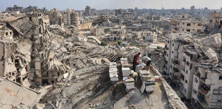 Ibrahim al-Dabba, jefe de la Cooperativa de Apicultores de la Franja de Gaza, cuida las colmenas con sus hijos en la azotea de un edificio destruido en el barrio de Tel al-Hawa, en la ciudad de Gaza, donde la familia desplazada se ha refugiado. Más de dos años y medio después, Gaza sigue sumida en una grave crisis humanitaria y, a pesar del frágil alto el fuego alcanzado entre Israel y Hamás en octubre de 2025, los esfuerzos para poner fin definitivamente a la guerra llevan meses estancados.