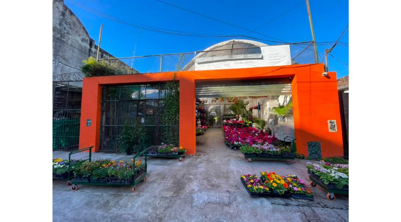 Vivero Marisel: una historia de pasión, trabajo y crecimiento
