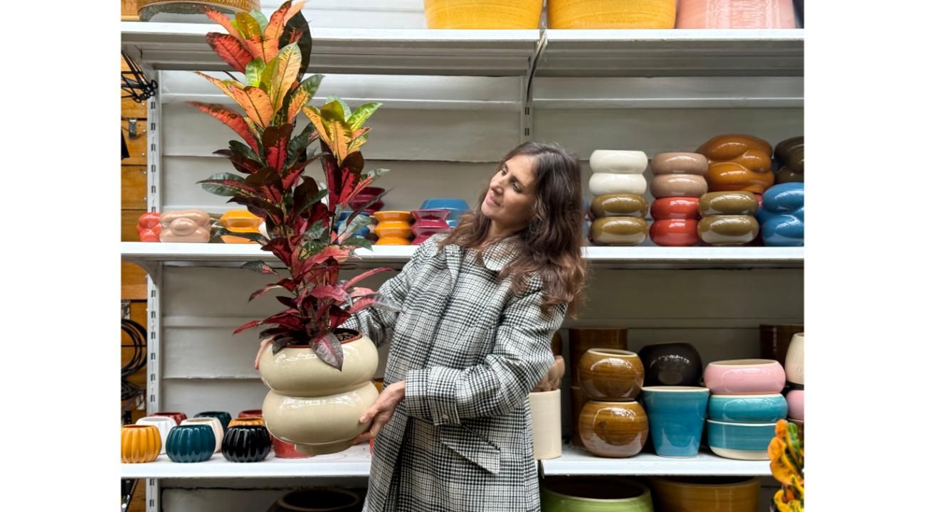 Vivero Marisel: una historia de pasión, trabajo y crecimiento