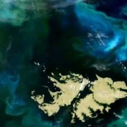 El misterio detrás de esta misteriosa aparición responde a una masiva floración de fitoplancton