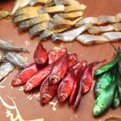 La mojarra continúa siendo una de las carnadas más versátiles y efectivas para esta especie. Elegir correctamente su tamaño, transportarla sin deteriorarla, mantenerla viva y realizar un encarne prolijo son detalles que terminan influyendo directamente en el resultado. 