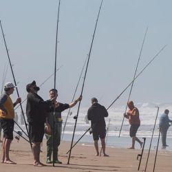 En la Fiesta de la Pescadilla, sino sale la especie, el premio suele ir a las rayas, otro pez que abunda en septiembre. 