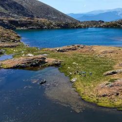 Uno de los principales riesgos de la operación era que la rotenona abandonase los lagos y alcanzase el curso fluvial situado aguas abajo. De haber ocurrido, la sustancia podría haber afectado a peces ajenos al objetivo de la intervención.