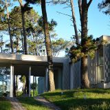 Invertir en Punta del Este
