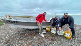 2508_pesca