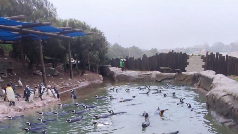 Aquarium de Mar del Plata