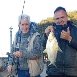 A pocos días de la llegada de la primavera, el pique se mantiene en gran parte del territorio nacional. 