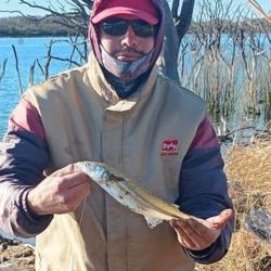 A pocos días de la llegada de la primavera, el pique se mantiene en gran parte del territorio nacional. 