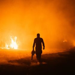 Un bombero combate un incendio forestal en Deliblatska Pescara (Arenas de Deliblato), cerca del pueblo de Dubovac, a unos 70 kilómetros al noreste de Belgrado, Serbia. | Foto:Uros Arsic / AFP