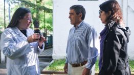 Campaña contra el Dengue del ministerio de Salud de la Ciudad de Buenos Aires 3