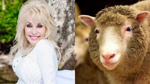Dolly Parton y Oveja Dolly