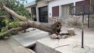 Viento Zonda en Mendoza
