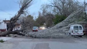 Viento Zonda en Mendoza