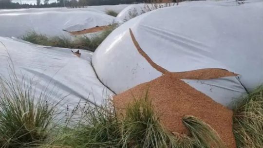 Desde la Fundación Barbechando apoyan el proyecto sobre vandalismo rural en la Comisión de Agricultura