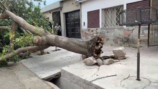 Alerta por viento Zonda en Mendoza: qué pasará con las clases