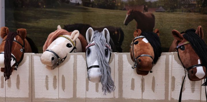 Esta fotografía muestra caballitos de juguete expuestos durante el Campeonato Abierto de Francia de Caballitos de Juguete de 2026, organizado por la Asociación Francesa de Caballitos de Juguete en Saint-Chef, en el centro-este de Francia.