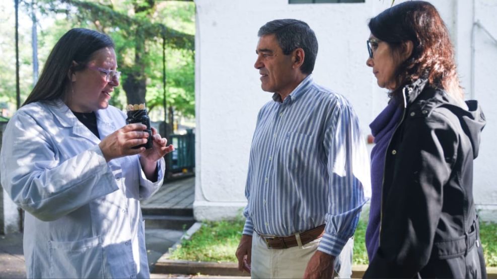 Campaña contra el Dengue del ministerio de Salud de la Ciudad de Buenos Aires 3