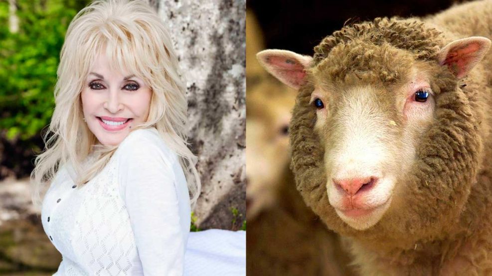 Dolly Parton y Oveja Dolly