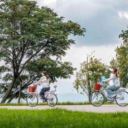 Imagen de personas circulando en bicicleta por el corredor ecológico del lago Erhai, en Dali, en la provincia de Yunnan, en el suroeste de China. El corredor ecológico del lago Erhai ha entrado en su temporada alta de turismo durante las vacaciones de verano, con el ciclismo convirtiéndose en una opción popular para que muchos visitantes recorran el lago y se acerquen a la naturaleza. Las autoridades locales han estado mejorando continuamente la infraestructura y los servicios de apoyo a lo largo del corredor para crear más experiencias culturales y turísticas. | Foto:Xinhua/Hu Chao