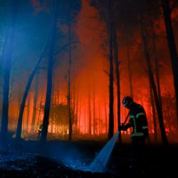 Un bombero rocía agua sobre el suelo carbonizado mientras las llamas continúan ardiendo en el bosque de las Landas, en Luglon, al suroeste de Francia. | Foto:ROMAIN PERROCHEAU / AFP
