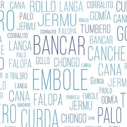 Palabras | Foto:Cedoc