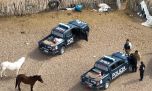Detienen a 2 cazadores furtivos con armas, trampas y el cráneo de un puma