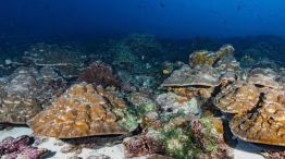 El fenómeno de El Niño es un 40% más fuerte