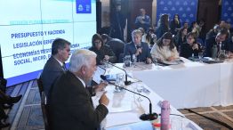 Régimen de Incentivo para Inversiones Relevantes