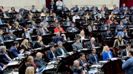 El nuevo frente opositor en Diputados pidió sesión para tratar la emergencia en Discapacidad y la situación de las familias endeudadas