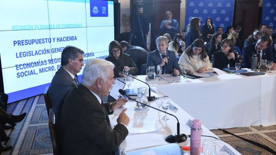 El proyecto de Vischi: cómo impactaría el RIIR en las economías regionales 